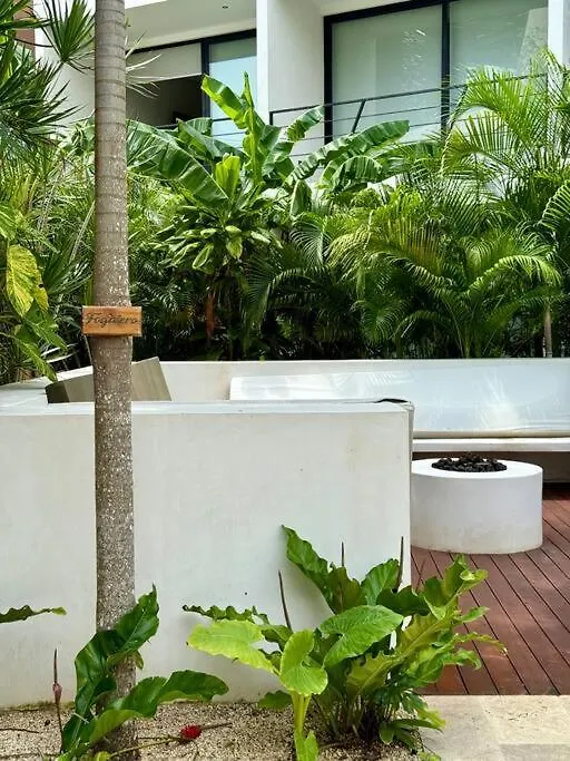 Apartment Hermoso Estudio Con Jacuzzi Privado En Tulum Ir26