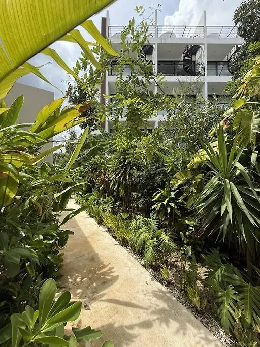Apartment Hermoso Estudio Con Jacuzzi Privado En Tulum Ir26